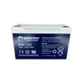 ES6120 Predator AGM Battery