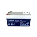 ES1213 Predator AGM Battery