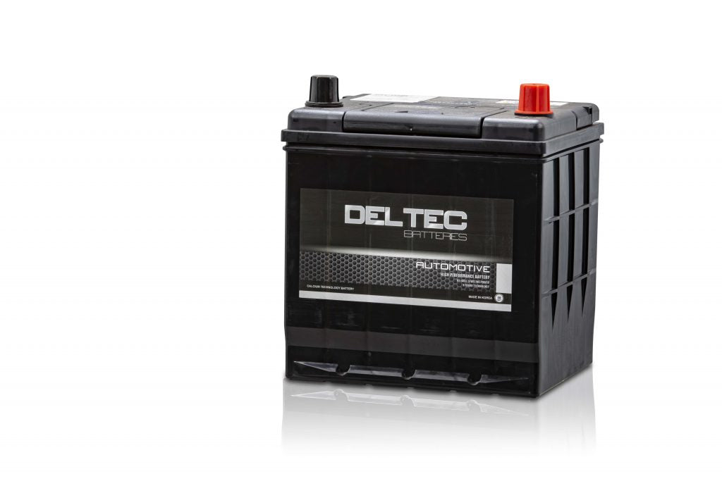D20L Deltec Automotive Battery